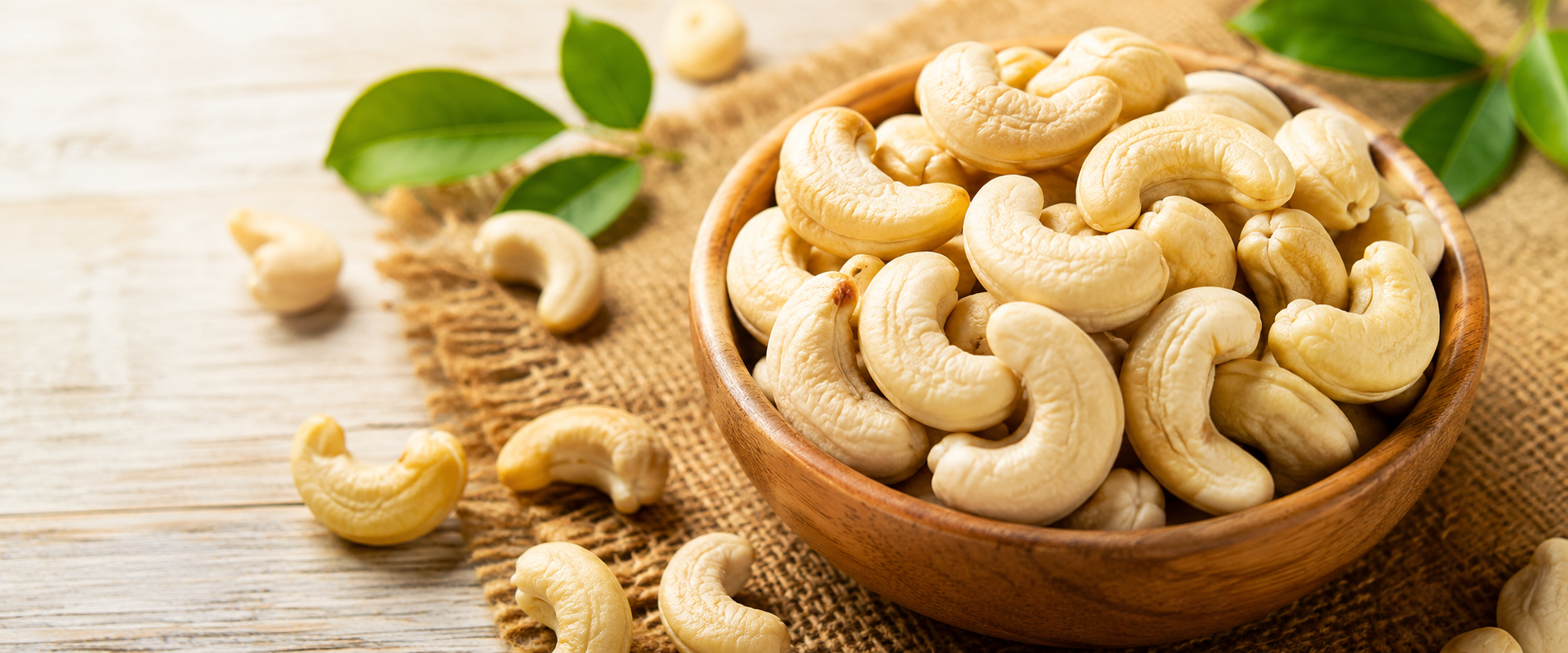  Bulk Makhana Supplier